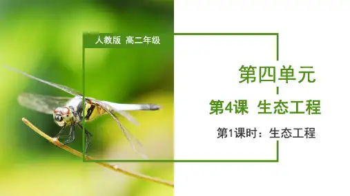 生态工程(精讲课件)高二生物(人教版2019选择性必修2)