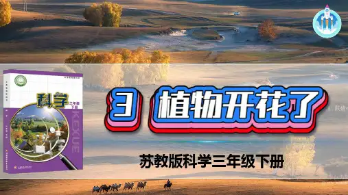 苏教版科学三年级下册3植物开花了 课件(共26张PPT)