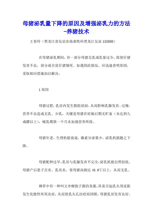 母猪泌乳量下降的原因及增强泌乳力的方法 - 养猪技术
