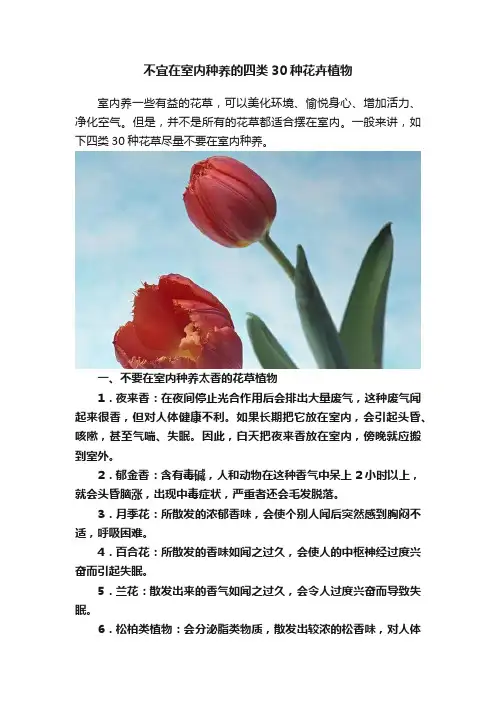 不宜在室内种养的四类30种花卉植物