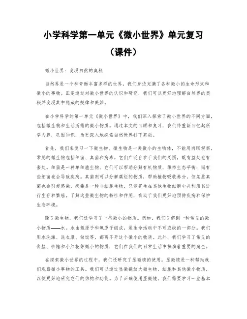 小学科学第一单元《微小世界》单元复习(课件)