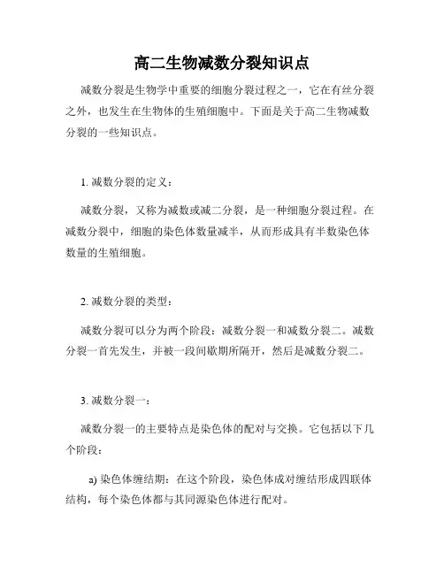 高二生物减数分裂知识点