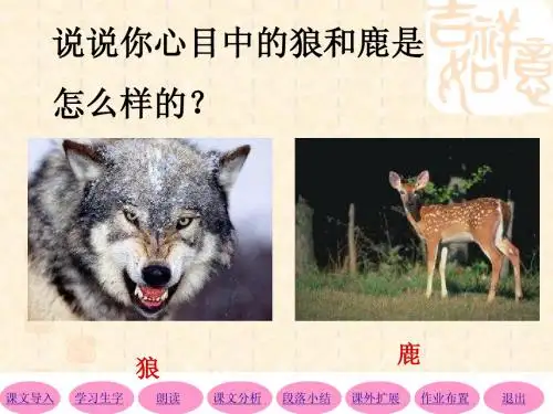 13232115鹿和狼的故事.ppt