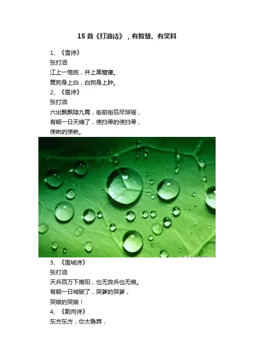 15首《打油诗》，有智慧、有笑料