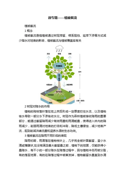 微专题——植被截流