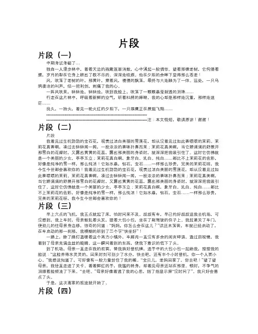 片段作文共九篇