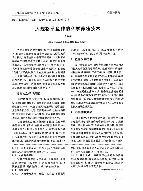 大规格草鱼种的科学养殖技术