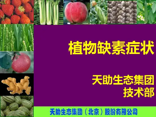 植物缺素症图谱