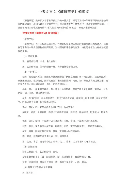 中考文言文《醉翁亭记》知识点