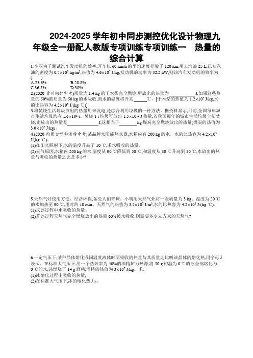 2024-2025学年初中同步测控优化设计物理九年级全一册配人教版专项训练含答案