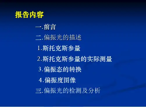 偏振光检测研究