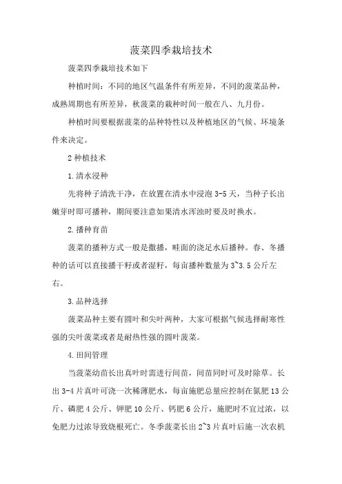 菠菜四季栽培技术