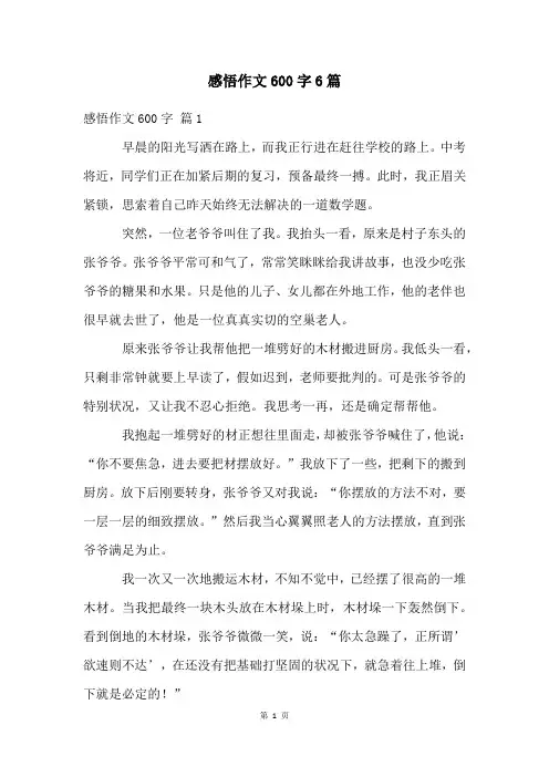 感悟作文600字6篇