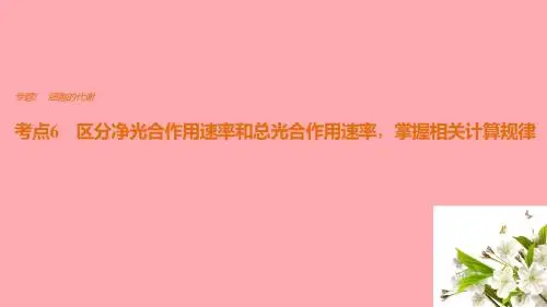高考生物专题总复习  细胞的代谢 考点6 区分净光合作用速率和总光合作用速率掌握相关计算规律课件