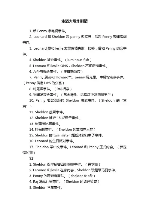生活大爆炸剧情
