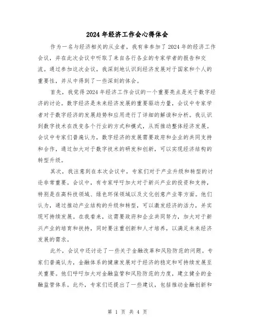 2024年经济工作会心得体会(2篇)