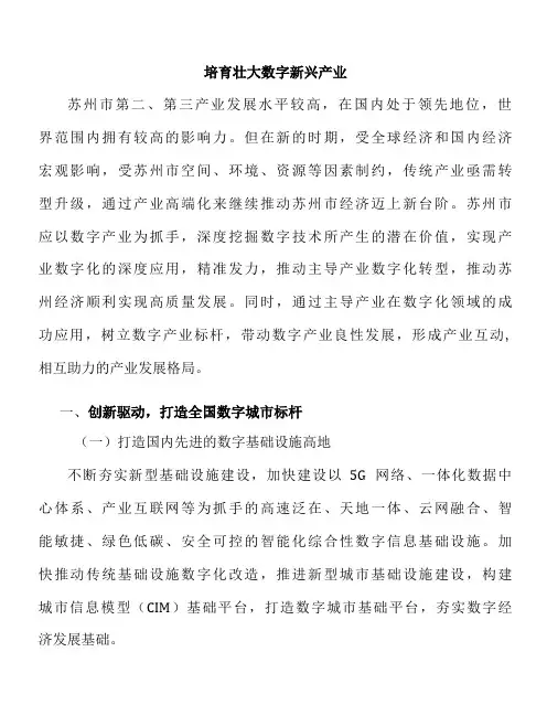 培育壮大数字新兴产业