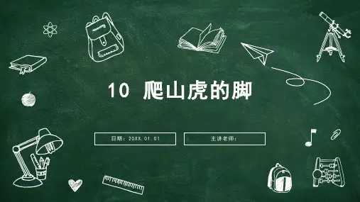 部编版语文四年级上册10爬山虎的脚课件(共18张PPT)