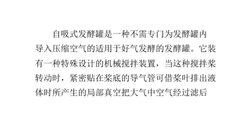 自吸式发酵罐结构、原理
