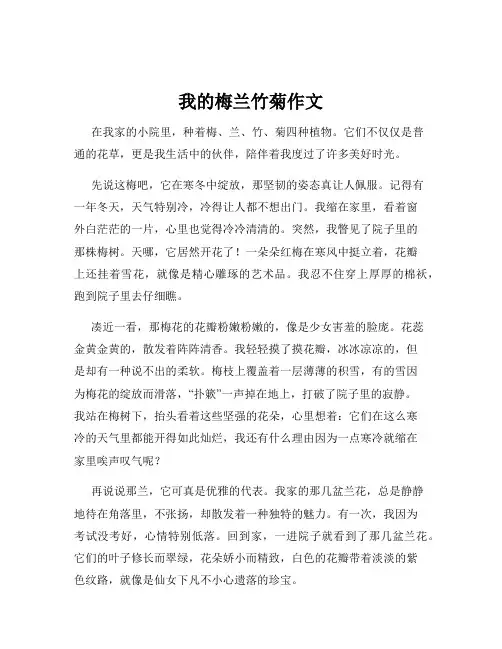 我的梅兰竹菊作文
