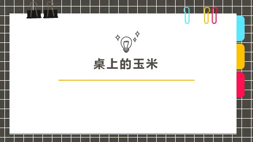 5-6  水彩笔 玉米美术培训课件PPT