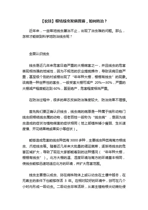 【农技】根结线虫发病普遍，如何防治？