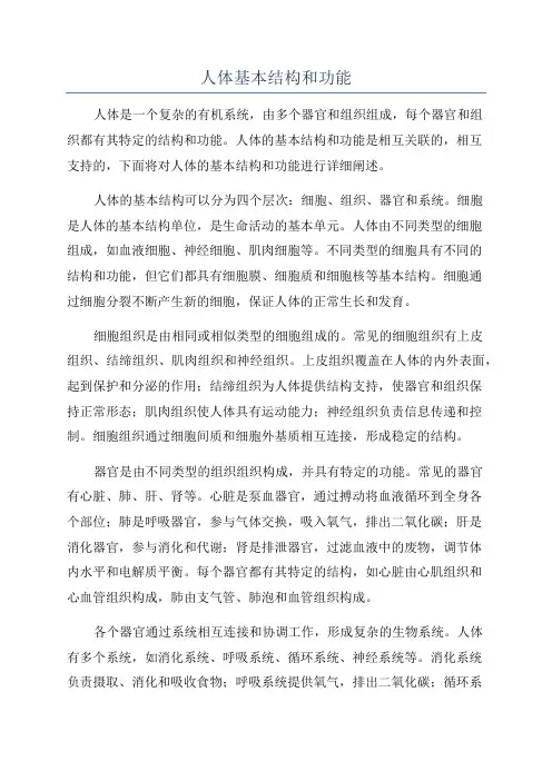 人体基本结构和功能