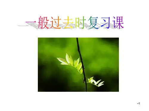 最新一般过去时复习课ppt课件