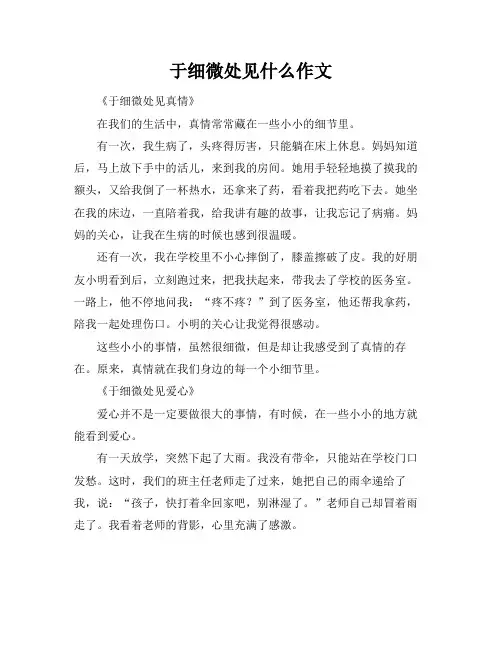 于细微处见什么作文