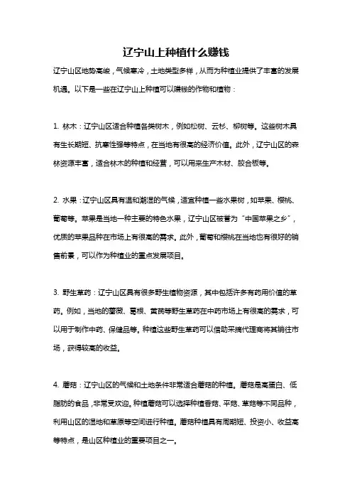 辽宁山上种植什么赚钱