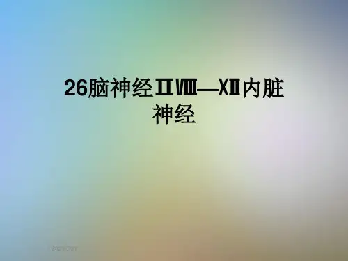26脑神经ⅡⅧ—Ⅻ内脏神经
