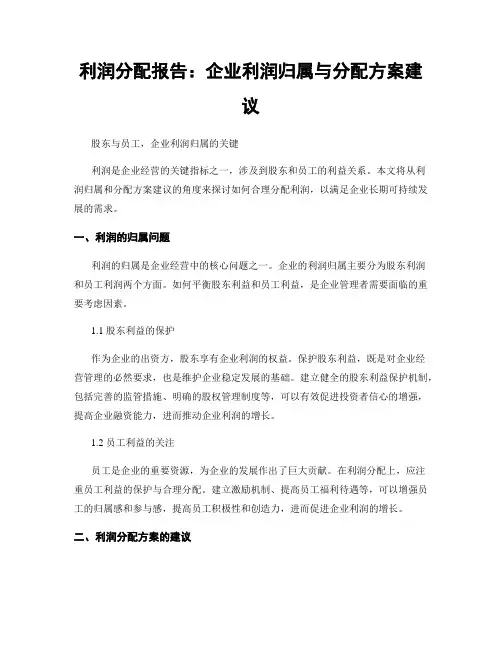 利润分配报告：企业利润归属与分配方案建议