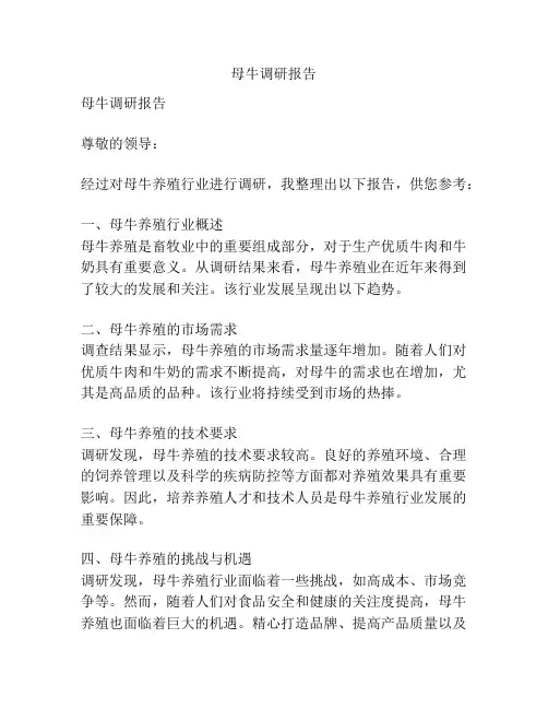 母牛调研报告