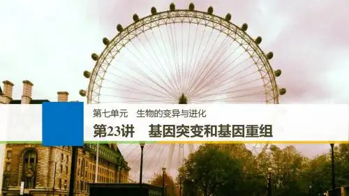 2018版高考生物北师大版大一轮复习讲义课件 第七单元 