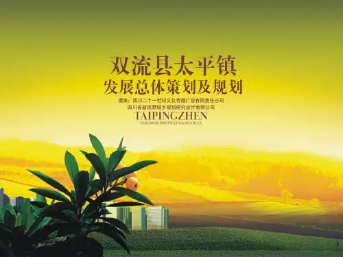 双流太平镇发展总体策划和规划课件