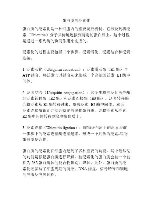 蛋白质的泛素化