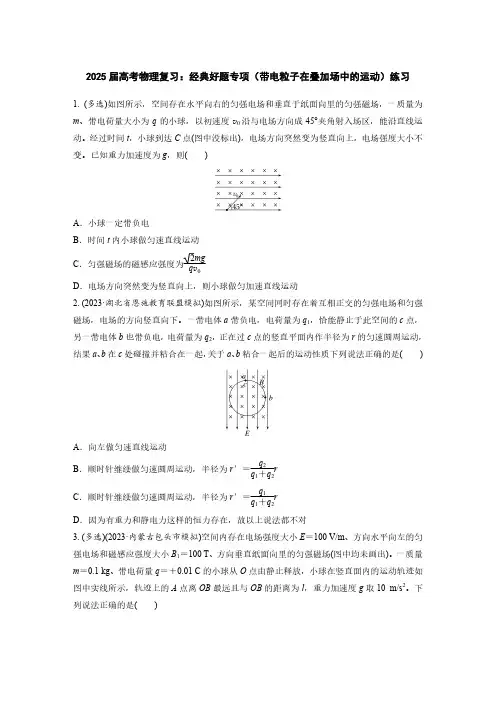 2025届高考物理复习：经典好题专项(带电粒子在叠加场中的运动)练习(附答案)