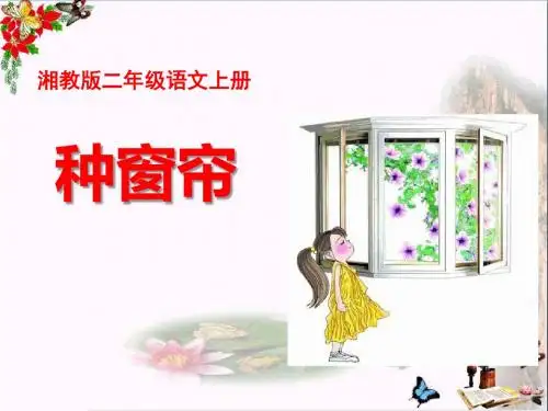 《种窗帘》PPT优秀课件