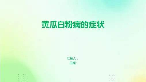 黄瓜白粉病的症状