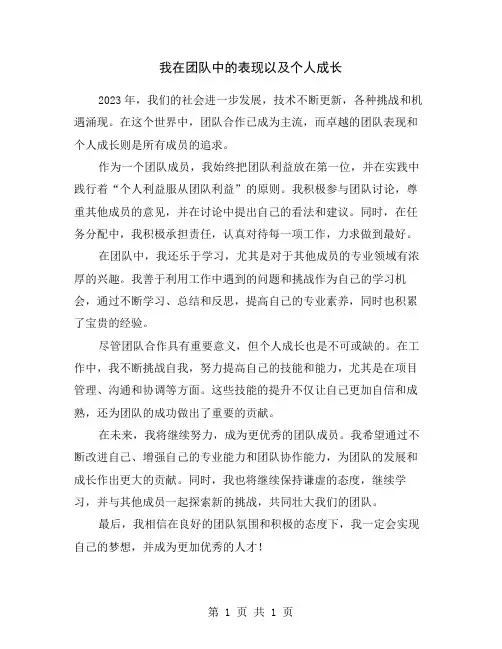 我在团队中的表现以及个人成长