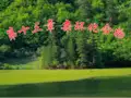 第十三章 杂环化合物(1)