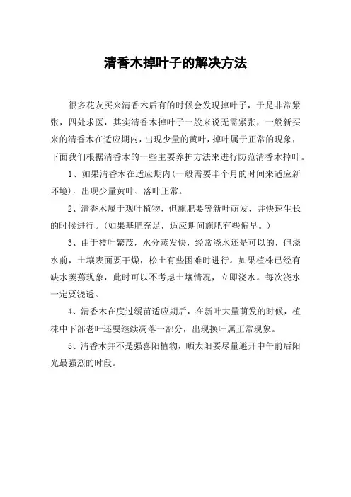 清香木掉叶子的解决方法