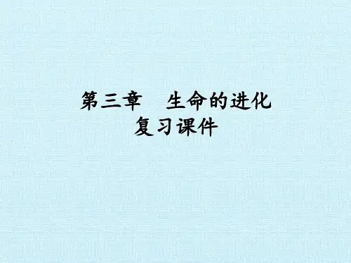 鲁教版五四制初中八年级下册生物：第三章 生物的进化 复习课件