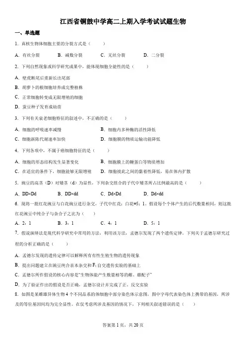 江西省宜春市铜鼓中学2022-2023学年高二上学期开学考试生物试题 (1)
