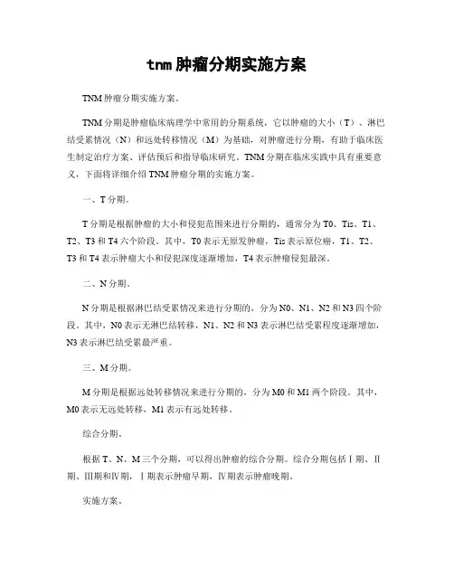 tnm肿瘤分期实施方案