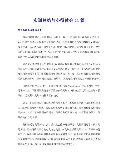 实训总结与心得体会11篇