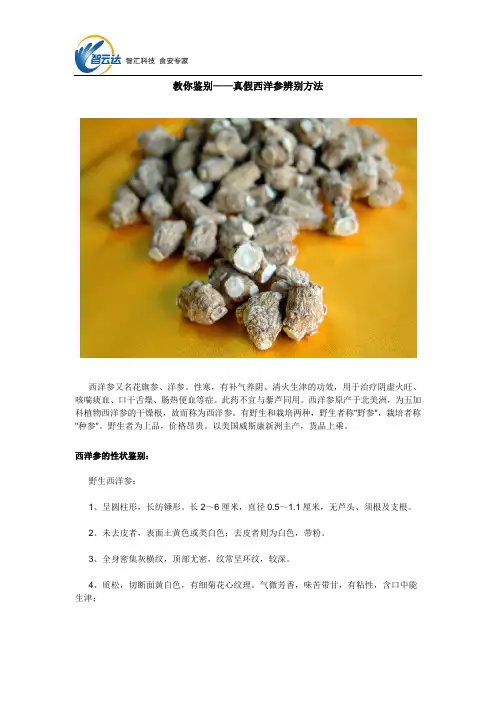 教你鉴别——真假西洋参辨别方法