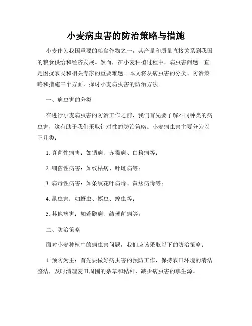 小麦病虫害的防治策略与措施