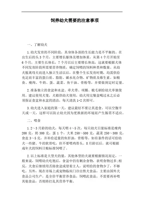 饲养幼犬需要的注意事项