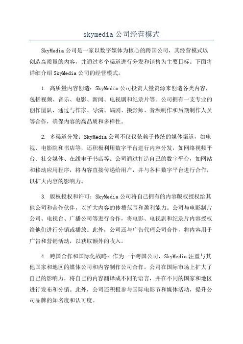 skymedia公司经营模式